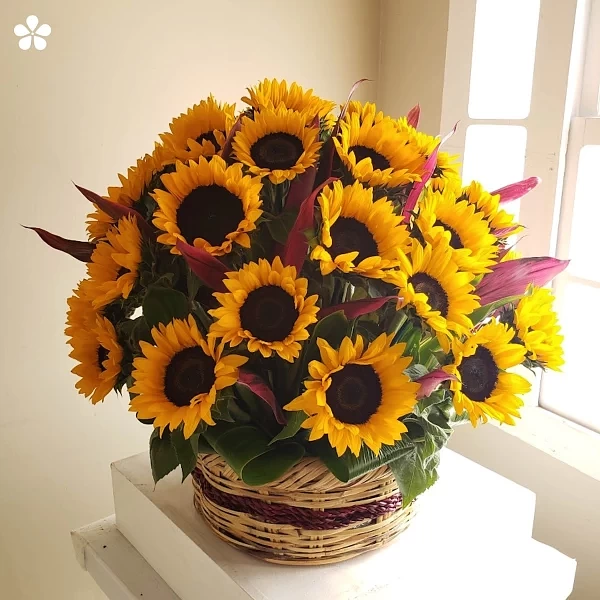 Canasta solar - 36 girasoles luminosos