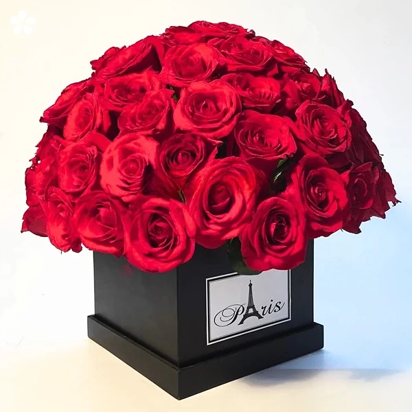 Velvet noir - estuche con 75 rosas rojas