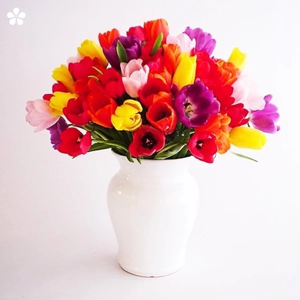 Cerámica blanca - 30 tulipanes multicolor