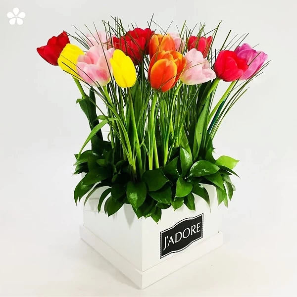 Tulipanes multicolor en estuche J’ADORE