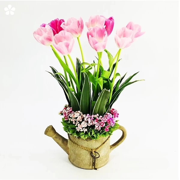 Regadera cerámica con tulipanes