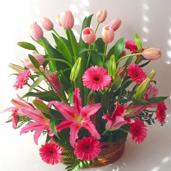 Rosa encantada - canasta generosa con tulipanes, lilis y gerberas