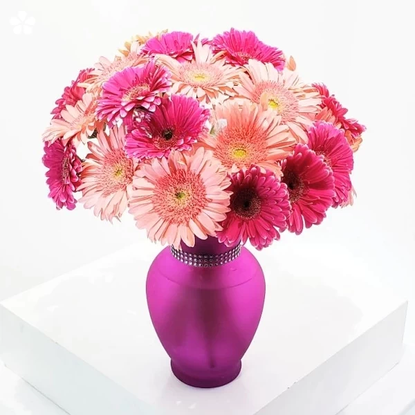 Elegancia pastel - bouquet de gerberas