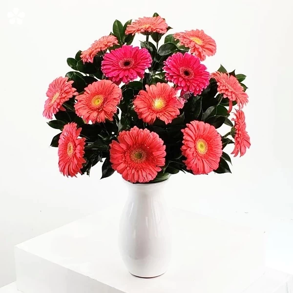 Encanto rosado - gerberas en florero cerámico