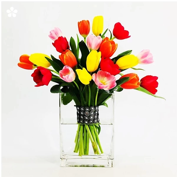 Tulipanes multicolor en cubo de cristal