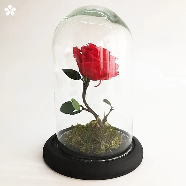 Forever rose - rosa eterna en capelo