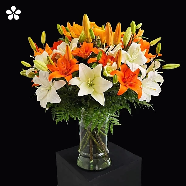 Cálida aurora - lilis blancas y naranjas