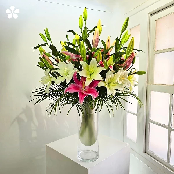 Aurora imperial - lilis blancas y rosadas en florero esmerilado