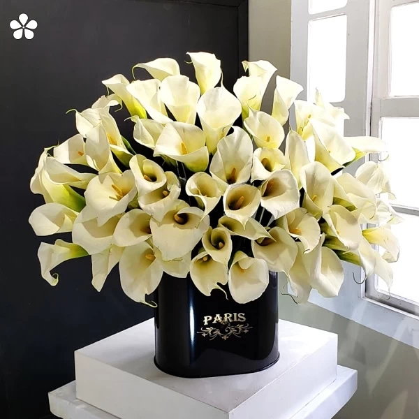 Alcatraces París - 100 callas en base metálica