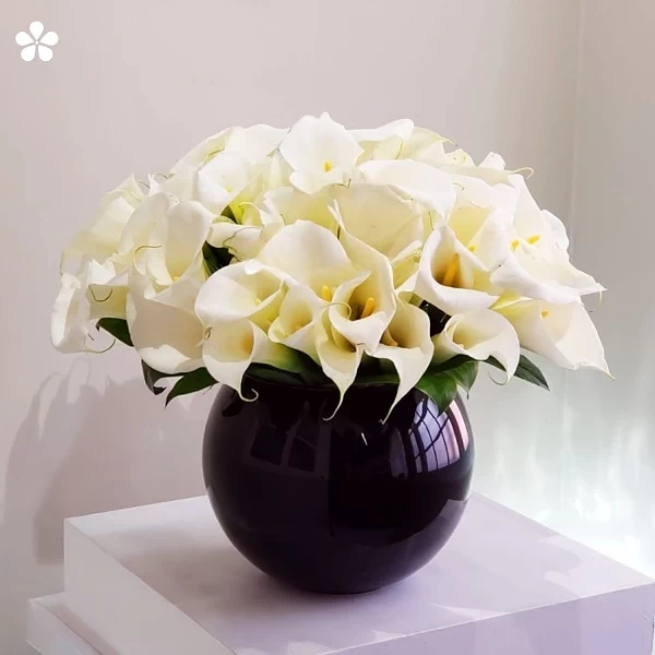 Esfera negra - 100 alcatraces elegantes