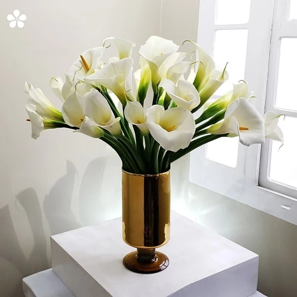 Copa dorada - 40 alcatraces elegantes