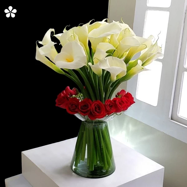 Equilibrio intenso - alcatraces y rosas rojas