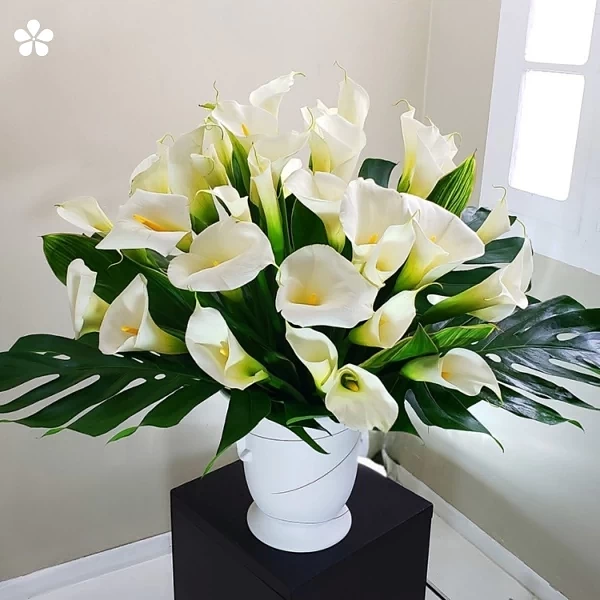 Cerámica blanca - 60 alcatraces elegantes