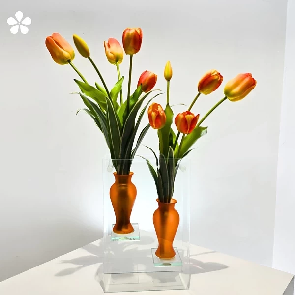 Dúo Amanecer anaranjado