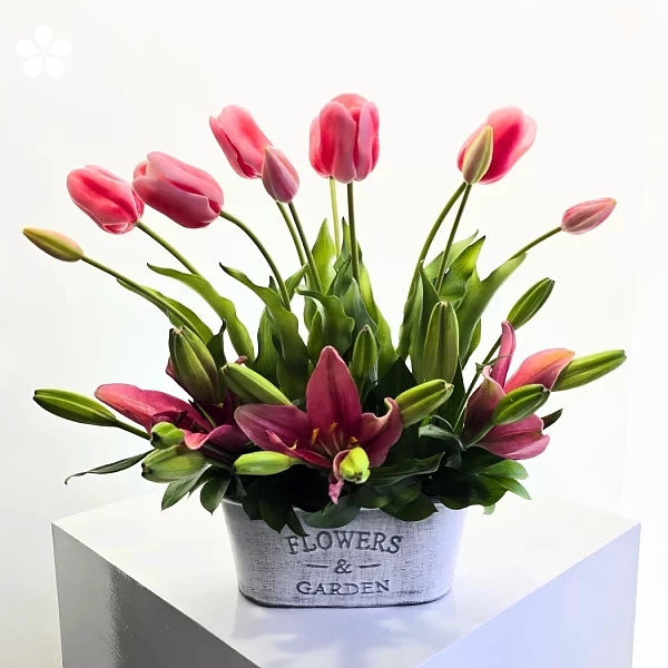 Jardín Rosado del Alba