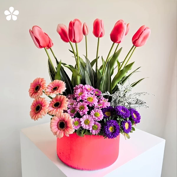 Espiral Rosa de Primavera